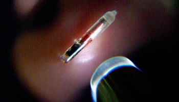 An implant chip containing patient medical records (Reuters/Colin Braley CB/JP)