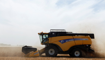 A combine harvests wheat in the Stavropol region, Russia (Reuters/Eduard Korniyenko)
