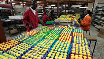 Workers arrange fresh roses at an export processing zone factory in Kenya's capital Nairobi (Reuters/Thomas Mukoya)