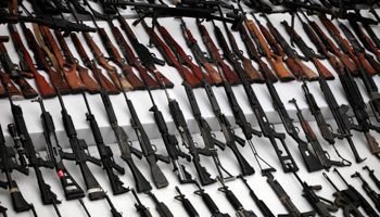 Weapons seized by the Mexican Navy (Reuters/Jorge Dan Lopez)