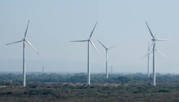 Wind turbines are seen in La Ventosa, Mexico (Reuters/Jorge Luis Plata)