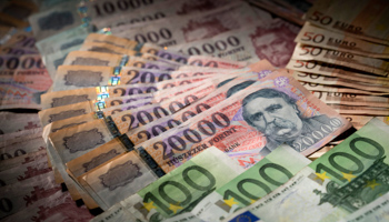 Hungarian forints and Euro notes (Reuters/Bernadett Szabo)