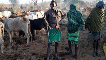 Samburu tribesmen and cattle herders outside Mugui conservancy (Reuters/Goran Tomasevic)