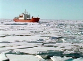The Russian research vessel the Akademik Fyodorov sails in the Arctic Ocean (Reuters/Reuters Television)