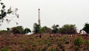 A boy herds goats in front of a drilling rig in the Bunyora region of Uganda (Reuters/Barry Malone)