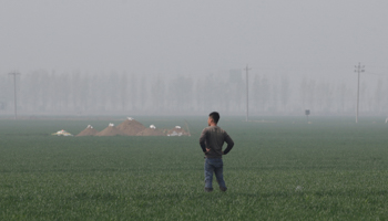 A man stands next to tombs on the outskirts of the Xiong'an New Area  (Reuters/Jason Lee)