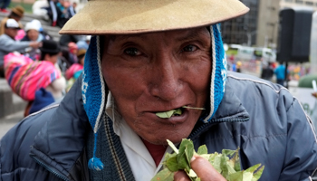 An elderly man chews coca leaves in La Paz, Bolivia (Reuters/David Mercado)