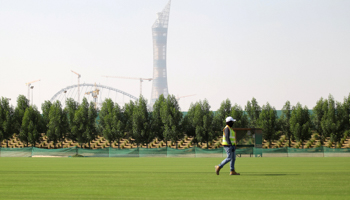 A worker walks on grass being grown for Qatar's 2022 World Cup, at an experimental facility in Doha, Qatar in 2016 (Reuters/Naseem Zeitoon)