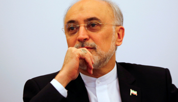 Head of the Iranian Atomic Energy Organization Ali Akbar Salehi in Vienna, Austria (Reuters/Leonhard Foeger)