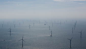 Wind turbines in an offshore wind park (Reuters/Christian Charisius/Pool)