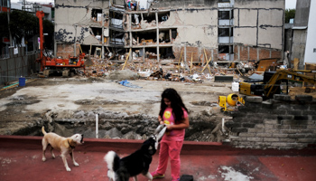 A girl plays with her dogs in front of the wreakage of an earthquake in Mexico City, September 2017 (Reuters/Nacho Doce)
