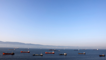 Oil tankers waiting to dock at the Tupras refinery near Izmit, Turkey (Reuters/Umit Bektas)
