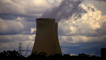 The Bayswater coal-powered thermal power station near Muswellbrook, Australia (Reuters/David Gray)