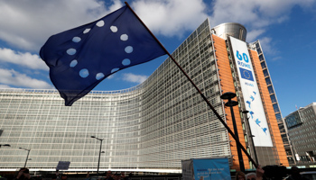 An EU flag with its stars removed is waved by a demonstrator outside the EU Commission headquarters in Brussels, Belgium (Reuters/Yves Herman)