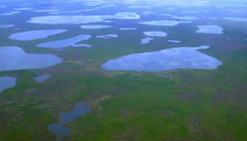 Lakes formed from melting permafrost in north-eastern Siberia (Reuters/Dmitry Solovyov)