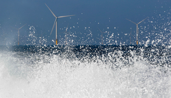 Power-generating windmill turbines at the Eneco Luchterduinen offshore wind farm near Amsterdam (Reuters/Yves Herman)