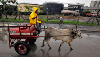 A worker transporting kerosene in a bullock cart travels past Indian Oil Corporation's fuel depot in Mumbai (Reuters/Danish Siddiqui)