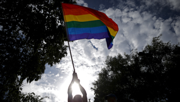 A man waves an LGBT equality rainbow flag (Reuters/Lucy Nicholson)