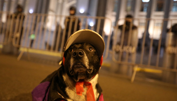 A protest against corruption in front of the Palace of Justice (Reuters/Mariana Bazo)