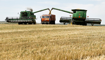 Combine harvesters in a wheat field in Stavropol region (Reuters/Eduard Korniyenko)