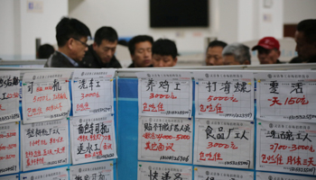 Recruitment information is posted at a job market in Qingdao (Reuters/China Daily)