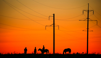 Local residents beside electricity lines in Aral, south-western Kazakhstan (Reuters/Shamil Zhumatov)