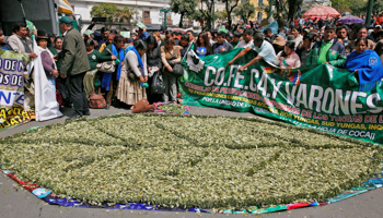 A giant coca leaf made with coca leaves is seen during a ceremony that marks the "Coca Day" in La Paz, Bolivia January 11, 2018 (Reuters/David Mercado)