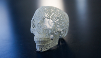 A skull made by the Shapeways 3D printing company is seen at their office in the borough of Queens in New York (Reuters/Shannon Stapleton)