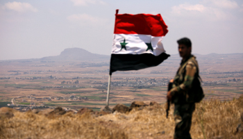 A soldier loyal to President Bashar al-Assad stands beside the Syrian flag, July 2018 (Reuters/Omar Sanadiki)