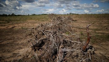 Deforestation on a farm in Palmeirante (Reuters/Ueslei Marcelino)