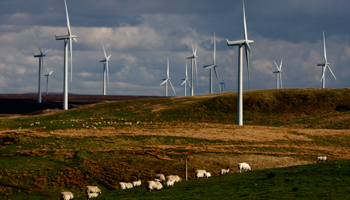The Whitelee wind farm near Eaglesham, East Renfrewshire, in Scotland (Reuters/David Moir)