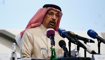 Saudi Energy Minister Khalid al-Falih (Reuters/Faisal Al Nasser)