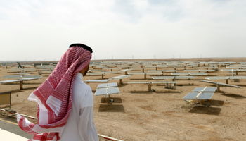 A Saudi man looks out on a field of solar panels near Riyadh, April 2018 (Reuters/Faisal Al Nasser)