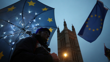 An anti-Brexit protester demonstrates outside the Houses of Parliament in London, January 29 (Reuters/Hannah Mckay)