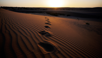 The sun sets on an area of desert on the outskirts of Minqin town, in Gansu province (Reuters/Carlos Barria)