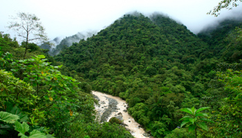 General view of the National Park Tapamti in Orosi, 80 miles (128km) of San Jose, Costa Rica (Reuters/Juan Carlos Ulate)