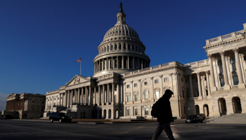 The US Capitol in Washington, seat of both congressional chambers (Reuters/Leah Millis)