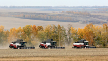 Harvesting wheat in Siberia's Krasnoyarsk region (Reuters/Ilya Naymushin)