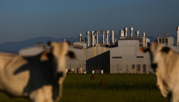 General Motors’ Sao Jose dos Campos factory (Reuters/Roosevelt Cassio)