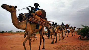 A Tuareg caravan travels through southern Niger (Reuters/Finbarr O'Reilly)