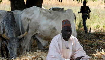 Hassan Dikko Wanbai, the head of a Fulani herder community, in Paiko, Niger State, Nigeria, November 27, 2018 (Reuters/Afolabi Sotunde)