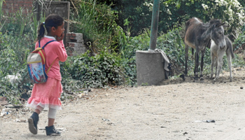 An Egyptian girl walks home after school in southern Cairo (Reuters/Amr Abdallah Dalsh)