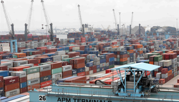 Cranes and containers seen at APM Terminals at the gateway port in Apapa, Lagos, Nigeria (Reuters/Temilade Adelaja)