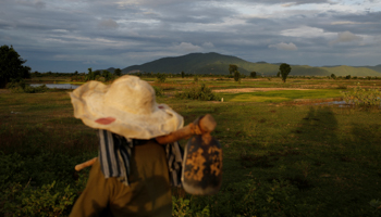 A farmer walking to work in Cambodia (Reuters/Ann Wang)