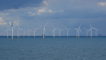 Wind turbines off the Belgian coast (Reuters/Eric Herchaft)