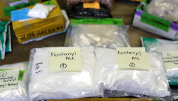Plastic bags of Fentanyl are displayed on a table at a US Customs and Border Protection area (Reuters/Joshua Lott)