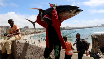 Bringing in the catch near Mogadishu, September 2018 (Reuters/Feisal Omar)