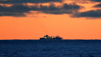 A cruise ship carrying COVID-19-positive passengers in the Pacific Ocean near California, United States, March 7 (Reuters/Stephen Lam)