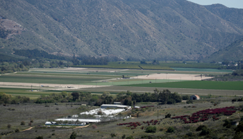 Agricultural farms during the outbreak of COVID-19 in the San Pasqual Valley, California, US, March 30 (Reuters/Mike Blake)