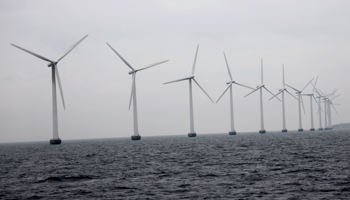 Wind farm outside Copenhagen, Denmark (Reuters/Andreas Mortensen)